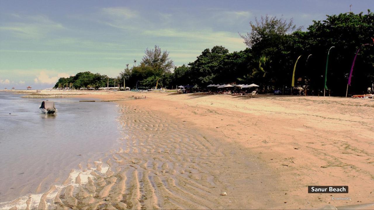 Zen Villa Sanur Art Buitenkant foto